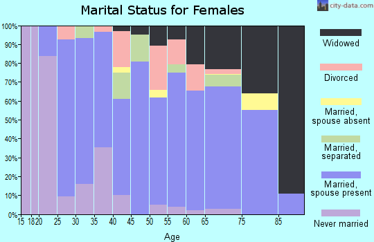 Zip code 24605 marital status for females
