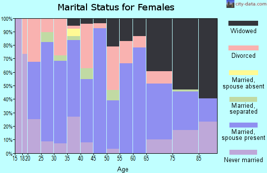 Zip code 24609 marital status for females