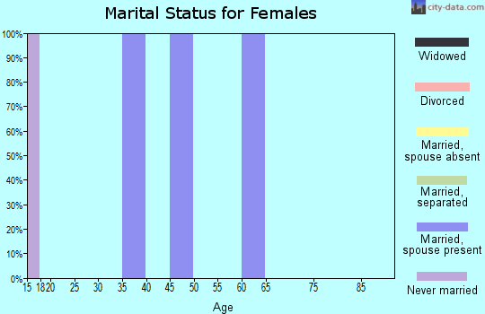 Zip code 24612 marital status for females