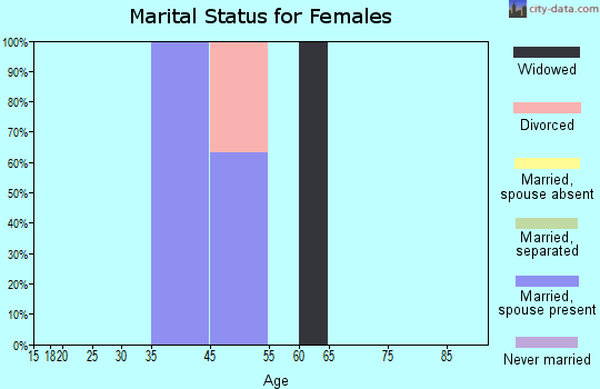 Zip code 24624 marital status for females
