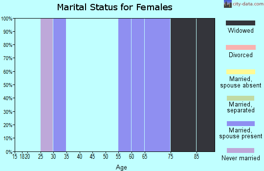 Zip code 24628 marital status for females