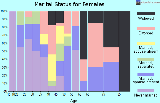 Zip code 24635 marital status for females