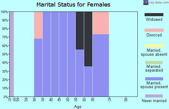 Zip code 24646 marital status for females