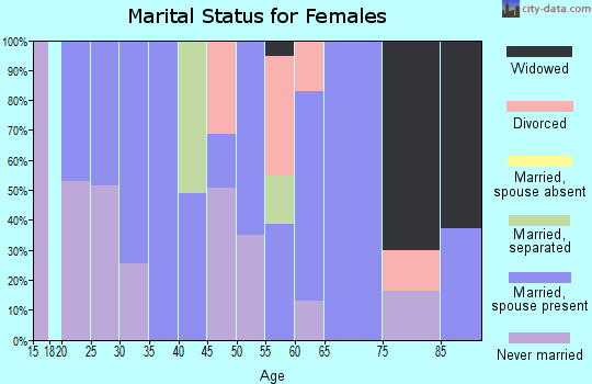 Zip code 24649 marital status for females