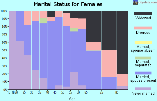 Zip code 24651 marital status for females