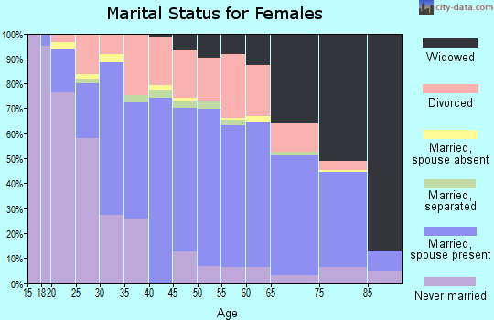 Zip code 24701 marital status for females