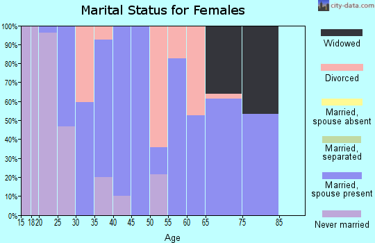 Zip code 24712 marital status for females