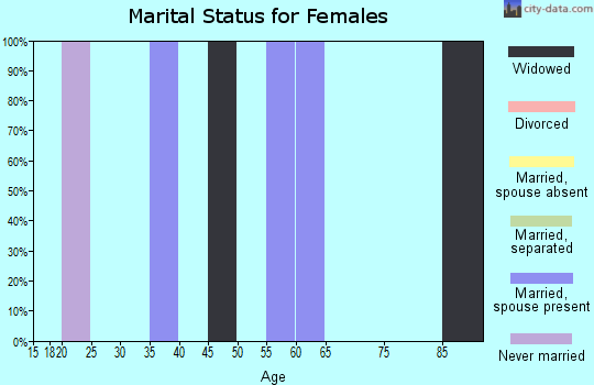 Zip code 24716 marital status for females