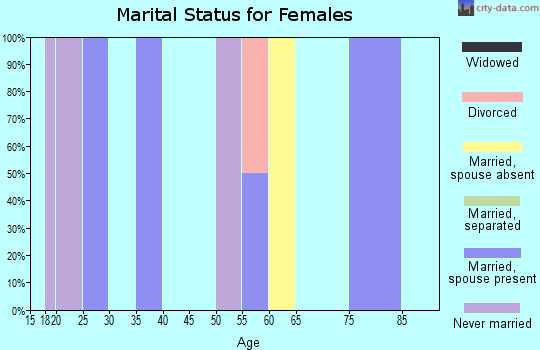Zip code 24724 marital status for females
