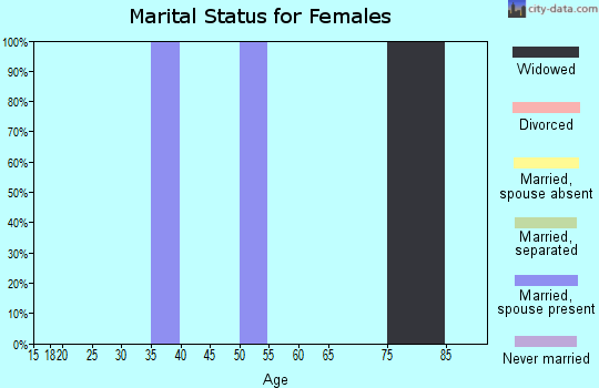 Zip code 24737 marital status for females