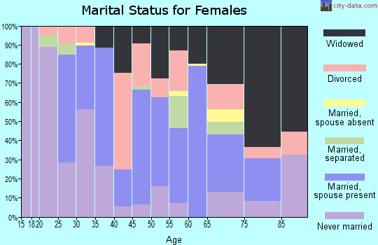 Zip code 24801 marital status for females