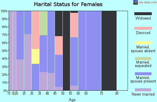 Zip code 24808 marital status for females
