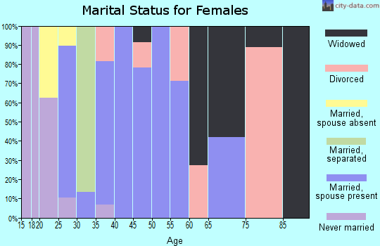 Zip code 24817 marital status for females