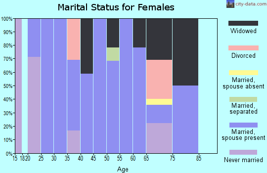 Zip code 24828 marital status for females
