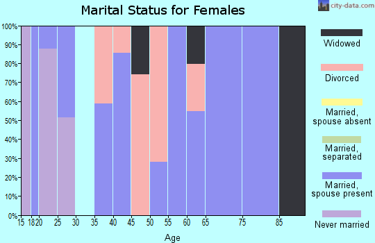 Zip code 24839 marital status for females. Housing units lacking complete plumbing facilities: 2% Housing units lacking complete kitchen facilities: 1%