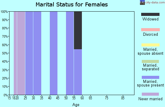 Zip code 24849 marital status for females