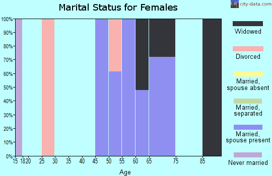 Zip code 24860 marital status for females