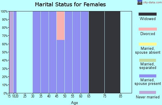 Zip code 24879 marital status for females