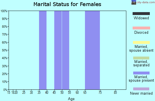 Zip code 24880 marital status for females