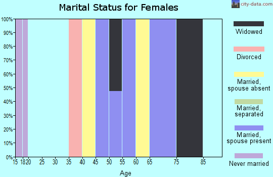 Zip code 24881 marital status for females. Housing units lacking complete plumbing facilities: 11% Housing units lacking complete kitchen facilities: 9%