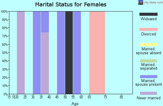 Zip code 24884 marital status for females