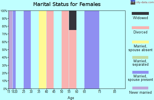 Zip code 24894 marital status for females