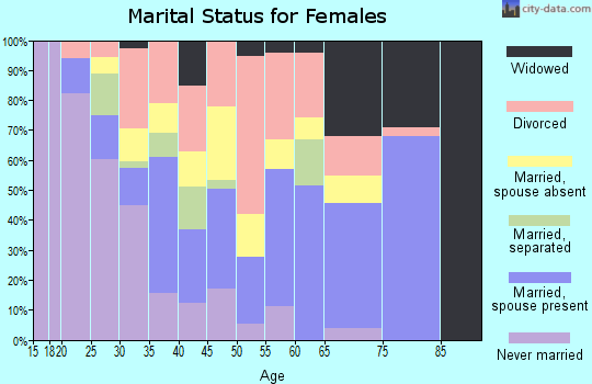 Zip code 24910 marital status for females