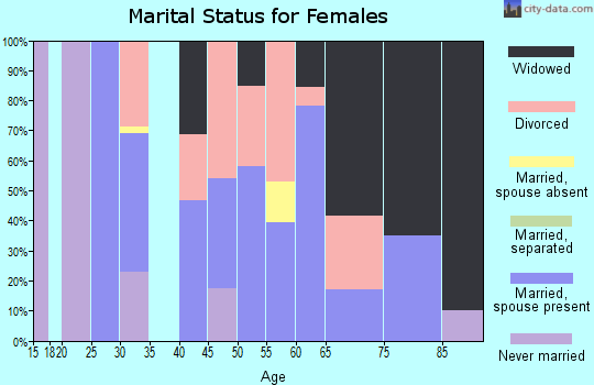 Zip code 24941 marital status for females