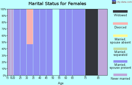 Zip code 24976 marital status for females