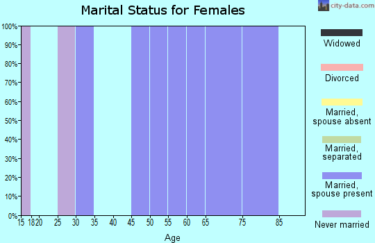 Zip code 24977 marital status for females