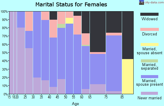 Zip code 24983 marital status for females