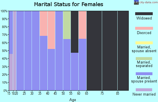 Zip code 25133 marital status for females