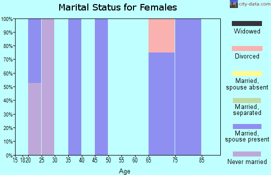 Zip code 25139 marital status for females