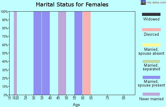 Zip code 25160 marital status for females