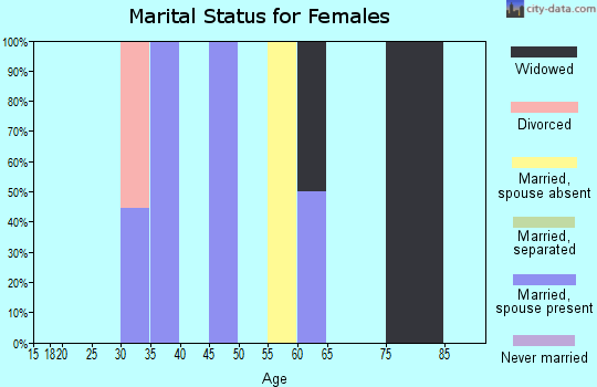Zip code 25161 marital status for females