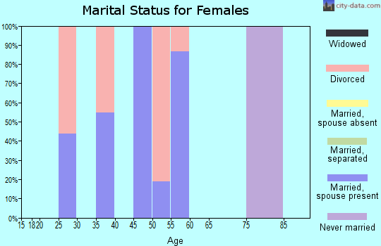 Zip code 25187 marital status for females
