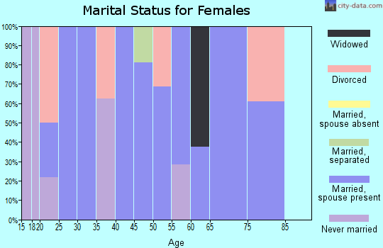 Zip code 25202 marital status for females