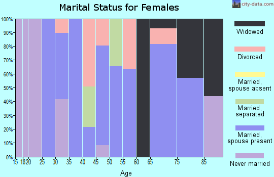 Zip code 25239 marital status for females