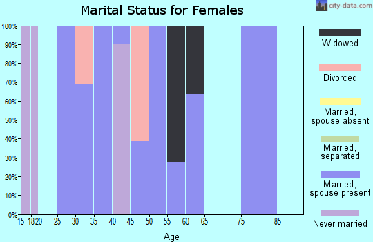 Zip code 25259 marital status for females