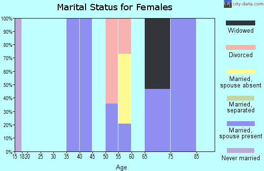 Zip code 25261 marital status for females