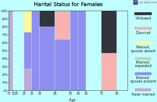 Zip code 25283 marital status for females