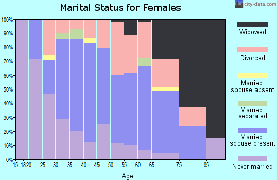 Zip code 25303 marital status for females