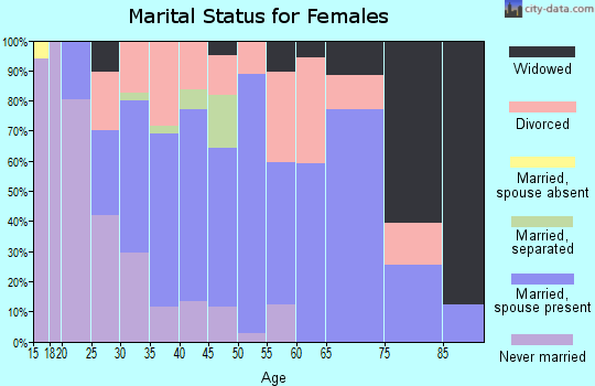 Zip code 25313 marital status for females