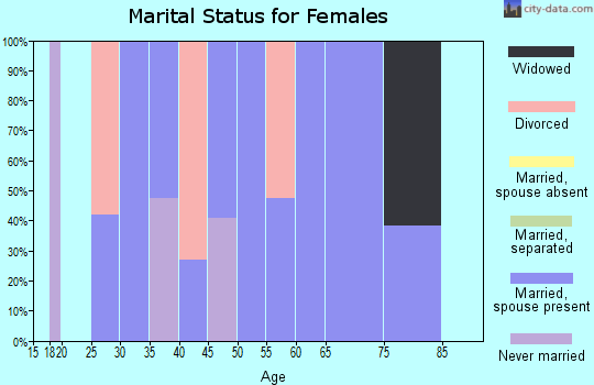 Zip code 25502 marital status for females