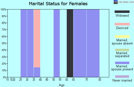 Zip code 25503 marital status for females