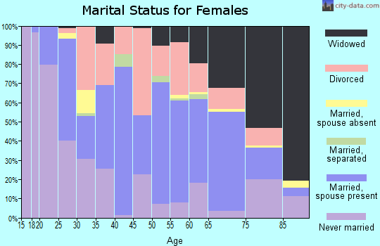 Zip code 25601 marital status for females