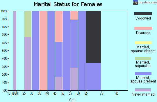 Zip code 25634 marital status for females