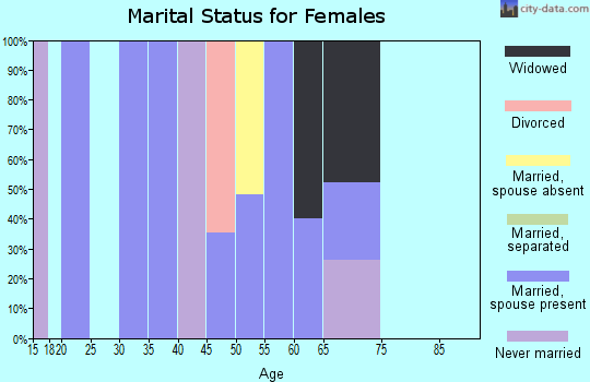 Zip code 25637 marital status for females