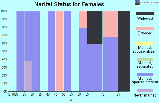 Zip code 25646 marital status for females