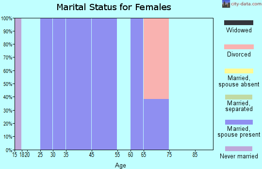 Zip code 25667 marital status for females